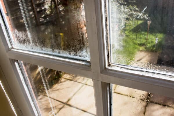 water damage around window