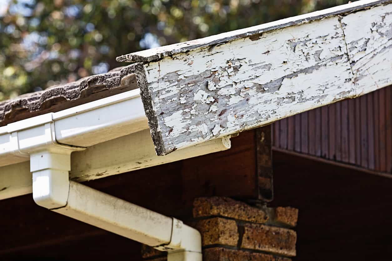 dry rot fascia board