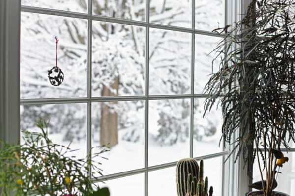 winter proof windows