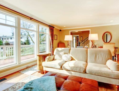 Picture Window Types: Different Styles, Sizes, and Buying Guide
