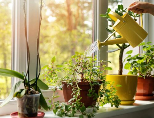 How Combination Windows Can Elevate Your Home’s Design