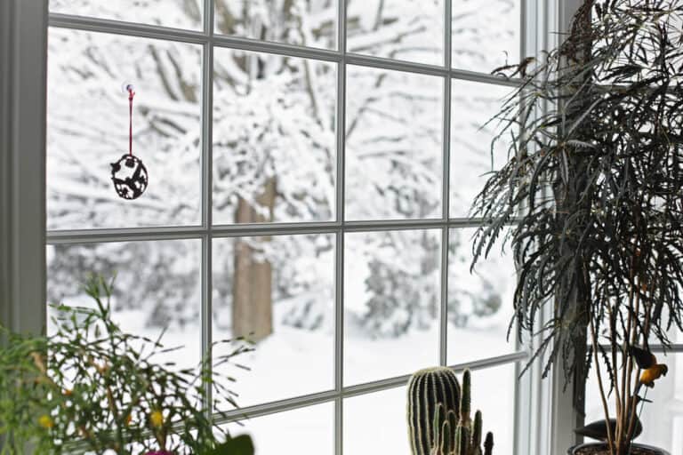  winter proof windows 