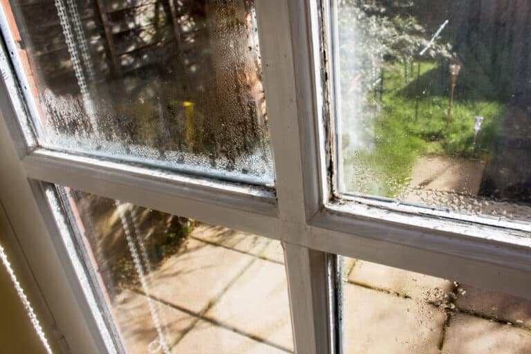  water damage around window 