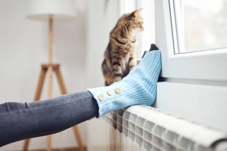  energy saving windows 